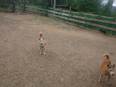 f:id:roukenhome-ann:20190821192853j:plain
