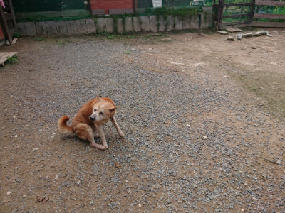 f:id:roukenhome-ann:20190821192954j:plain