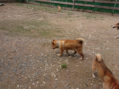 f:id:roukenhome-ann:20190821193015j:plain