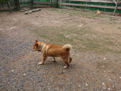 f:id:roukenhome-ann:20190821193022j:plain