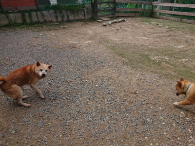 f:id:roukenhome-ann:20190821193047j:plain