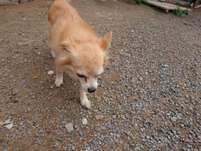 f:id:roukenhome-ann:20190821193707j:plain