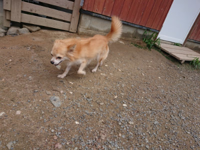 f:id:roukenhome-ann:20190821193719j:plain