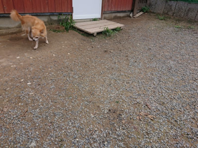f:id:roukenhome-ann:20190821193804j:plain