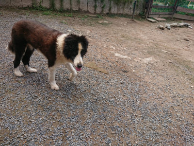 f:id:roukenhome-ann:20190821193820j:plain