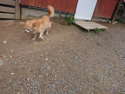 f:id:roukenhome-ann:20190821193826j:plain