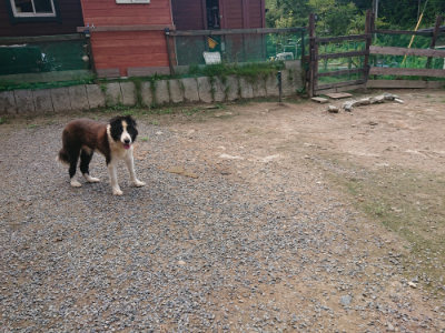 f:id:roukenhome-ann:20190821193846j:plain