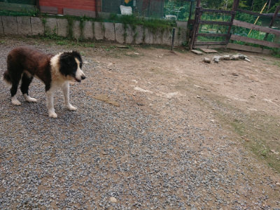 f:id:roukenhome-ann:20190821193853j:plain