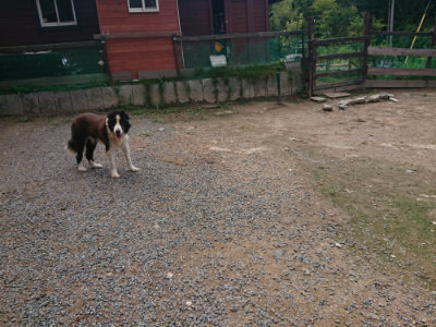 f:id:roukenhome-ann:20190821193912j:plain