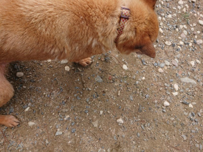 f:id:roukenhome-ann:20190821193932j:plain