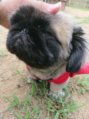 f:id:roukenhome-ann:20190821194010j:plain