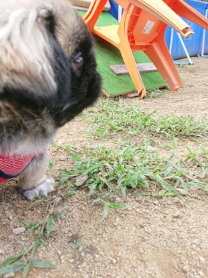 f:id:roukenhome-ann:20190821194024j:plain