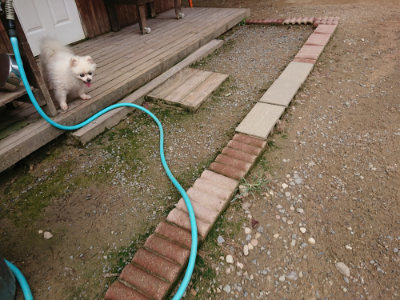 f:id:roukenhome-ann:20190822051517j:plain