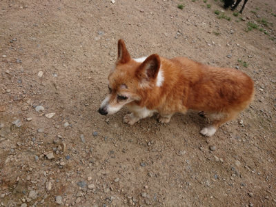 f:id:roukenhome-ann:20190822051541j:plain
