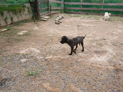 f:id:roukenhome-ann:20190822051556j:plain