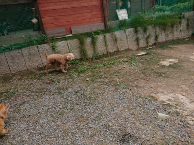 f:id:roukenhome-ann:20190822051601j:plain