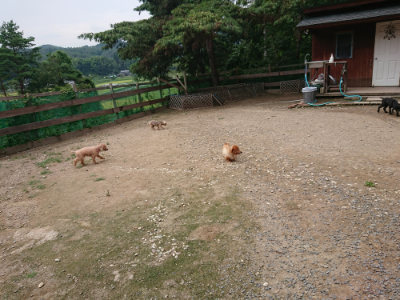 f:id:roukenhome-ann:20190822051617j:plain