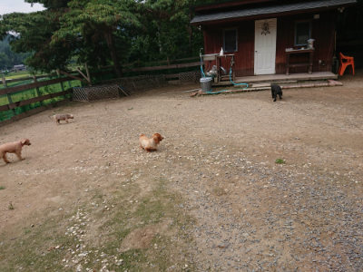f:id:roukenhome-ann:20190822051622j:plain