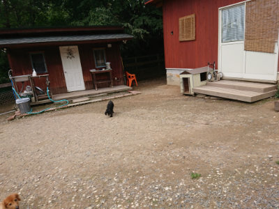 f:id:roukenhome-ann:20190822051645j:plain