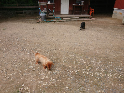 f:id:roukenhome-ann:20190822051655j:plain