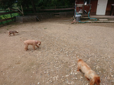 f:id:roukenhome-ann:20190822051701j:plain