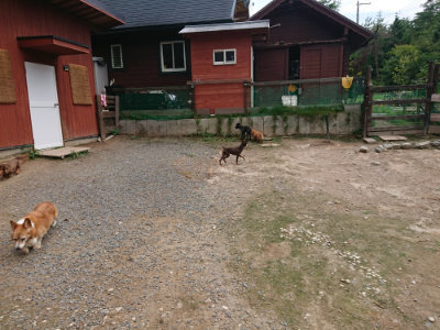 f:id:roukenhome-ann:20190822051801j:plain
