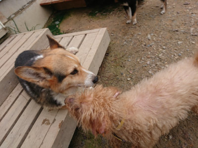 f:id:roukenhome-ann:20190822052109j:plain