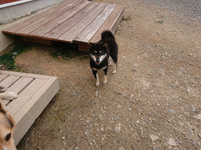 f:id:roukenhome-ann:20190822052132j:plain