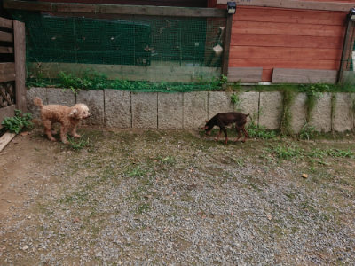 f:id:roukenhome-ann:20190822052145j:plain