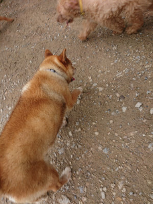 f:id:roukenhome-ann:20190822052151j:plain