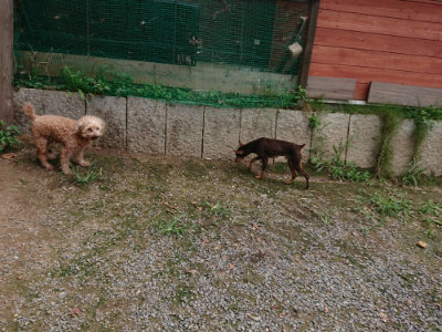 f:id:roukenhome-ann:20190822052157j:plain