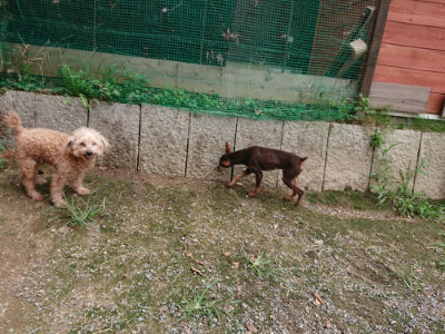 f:id:roukenhome-ann:20190822052203j:plain