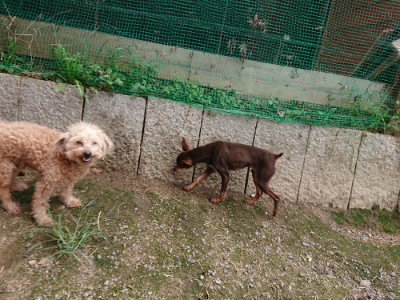 f:id:roukenhome-ann:20190822052224j:plain