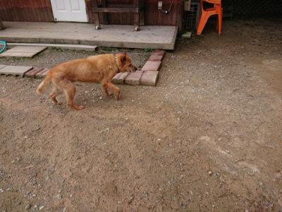 f:id:roukenhome-ann:20190822052229j:plain