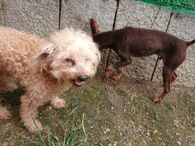 f:id:roukenhome-ann:20190822052245j:plain