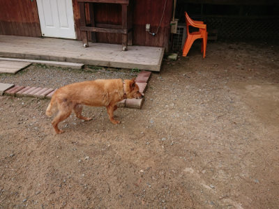 f:id:roukenhome-ann:20190822052250j:plain