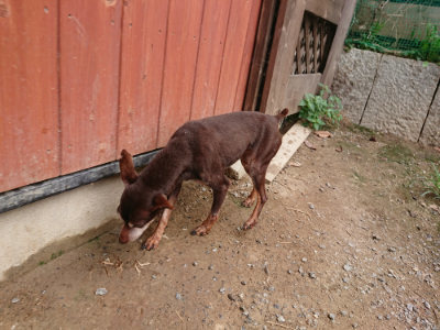f:id:roukenhome-ann:20190822052345j:plain