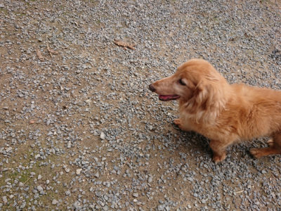 f:id:roukenhome-ann:20190822052425j:plain