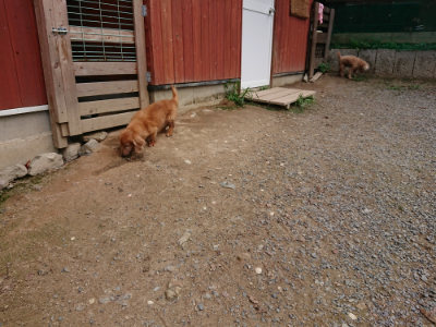 f:id:roukenhome-ann:20190822052843j:plain