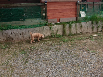 f:id:roukenhome-ann:20190822052858j:plain