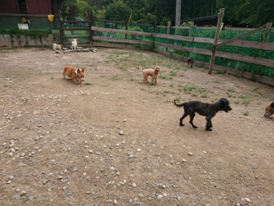 f:id:roukenhome-ann:20190822052940j:plain