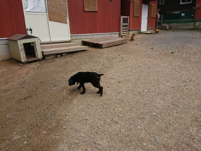 f:id:roukenhome-ann:20190822053008j:plain