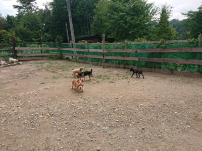f:id:roukenhome-ann:20190822053032j:plain