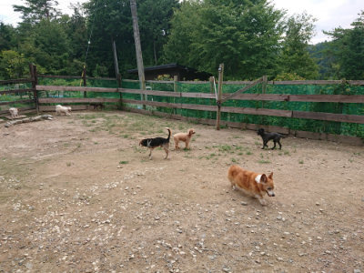f:id:roukenhome-ann:20190822053116j:plain