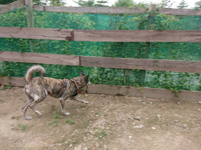 f:id:roukenhome-ann:20190822053130j:plain