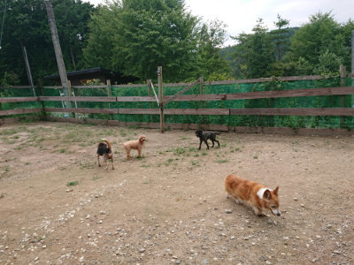 f:id:roukenhome-ann:20190822053135j:plain