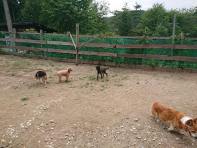 f:id:roukenhome-ann:20190822053139j:plain