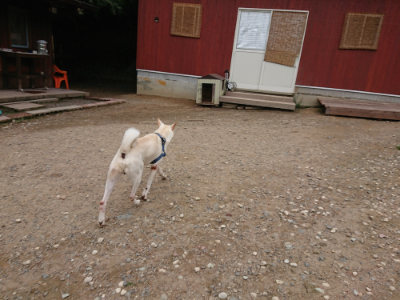 f:id:roukenhome-ann:20190822053151j:plain
