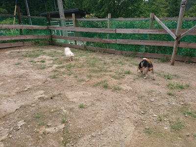 f:id:roukenhome-ann:20190822053156j:plain