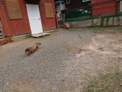 f:id:roukenhome-ann:20190822053218j:plain